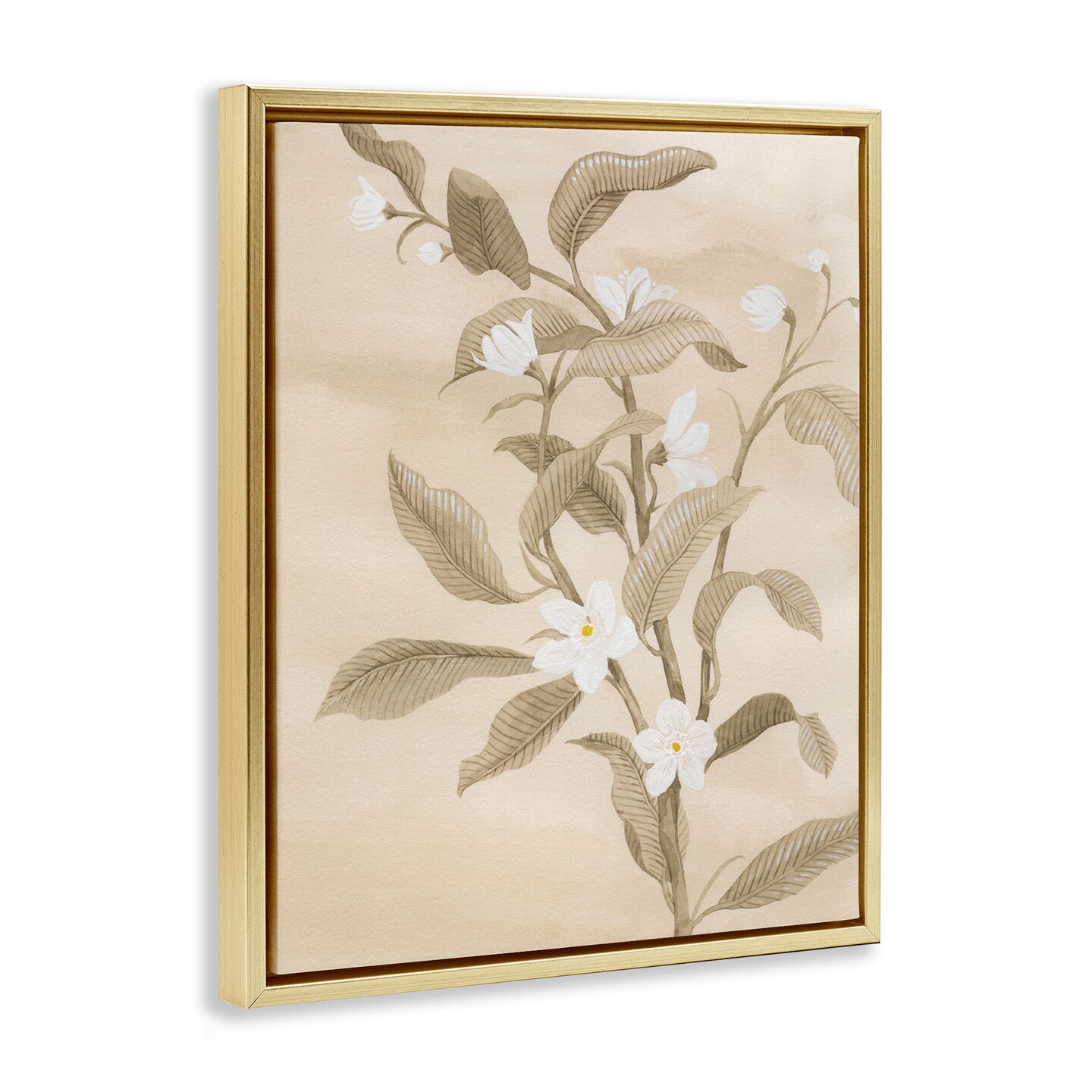 Stupell Industries Neutral White Daffodils Floater Framed Canvas Wall Art Design by Grace Popp