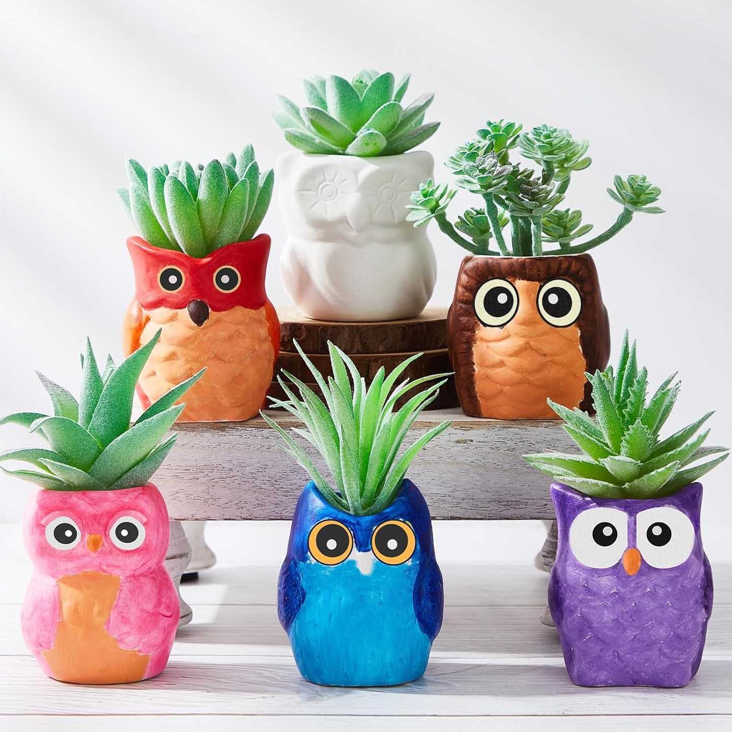 12 Set Paint Your Own Ceramic Planters - Mini Owl (2.5 Inch)