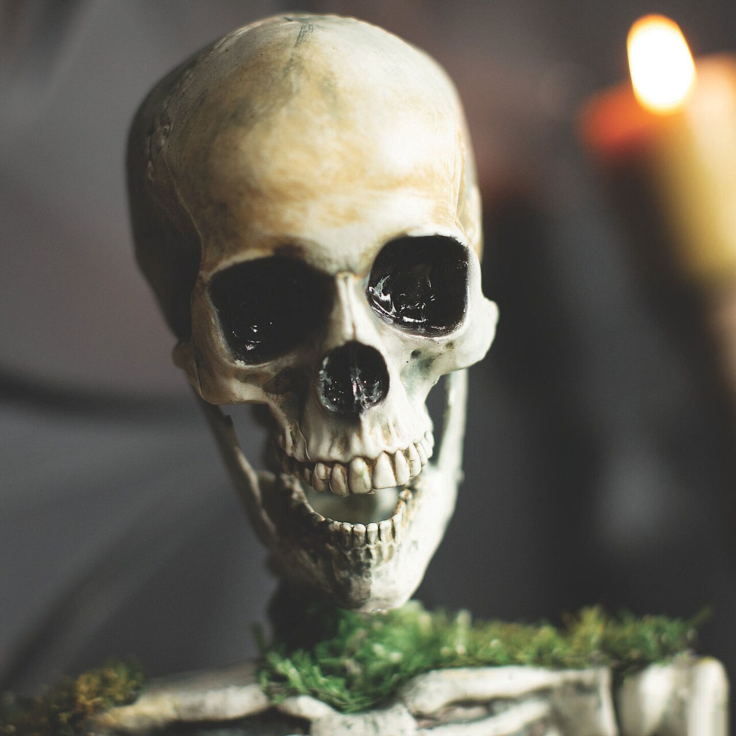 Animated Mossy Skeleton Tabletop Halloween Decoration Spooky Party Centerpiece Prop