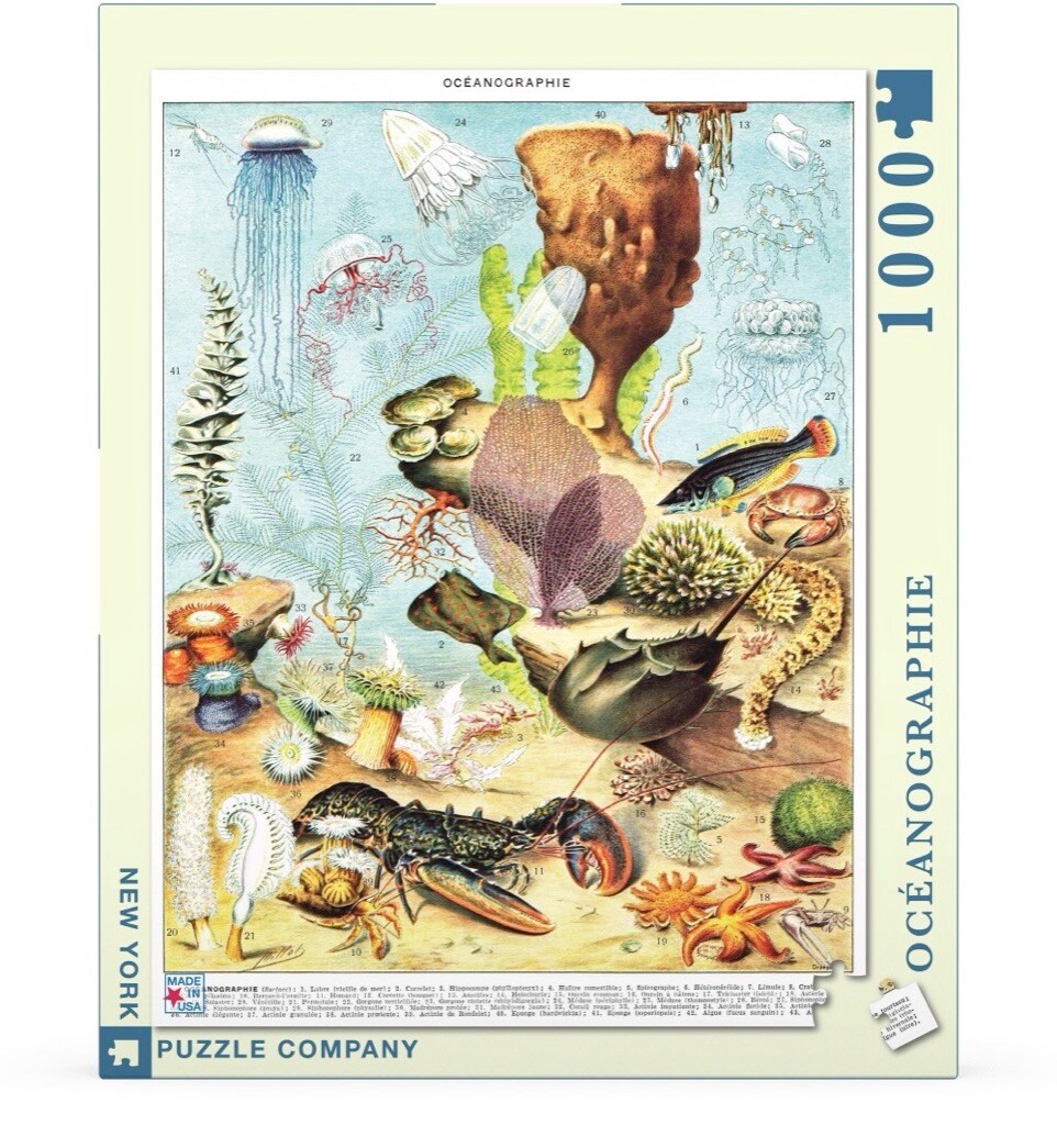New York Puzzle Company Océanographie 1000 Piece Piece Jigsaw Puzzle ...