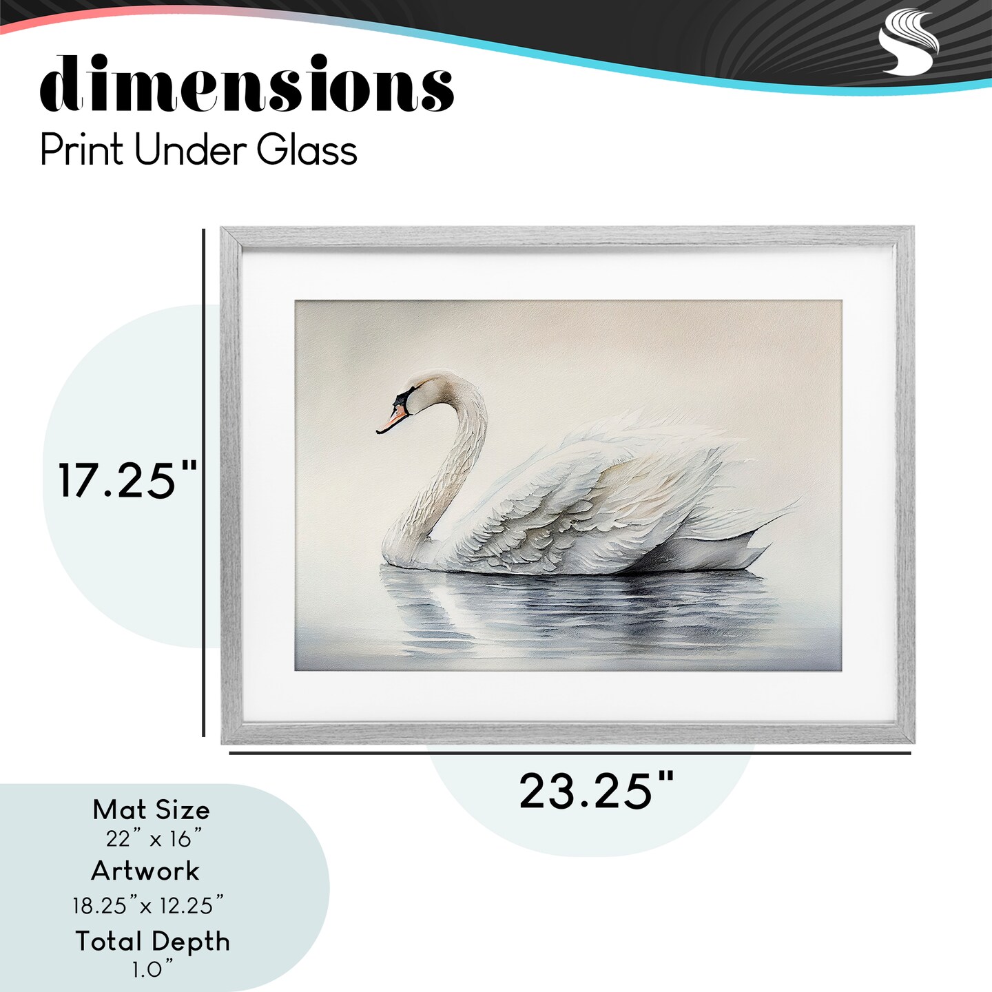 Stupell Industries Elegant Floating Swan Framed Print Under Glass, design by Sasha