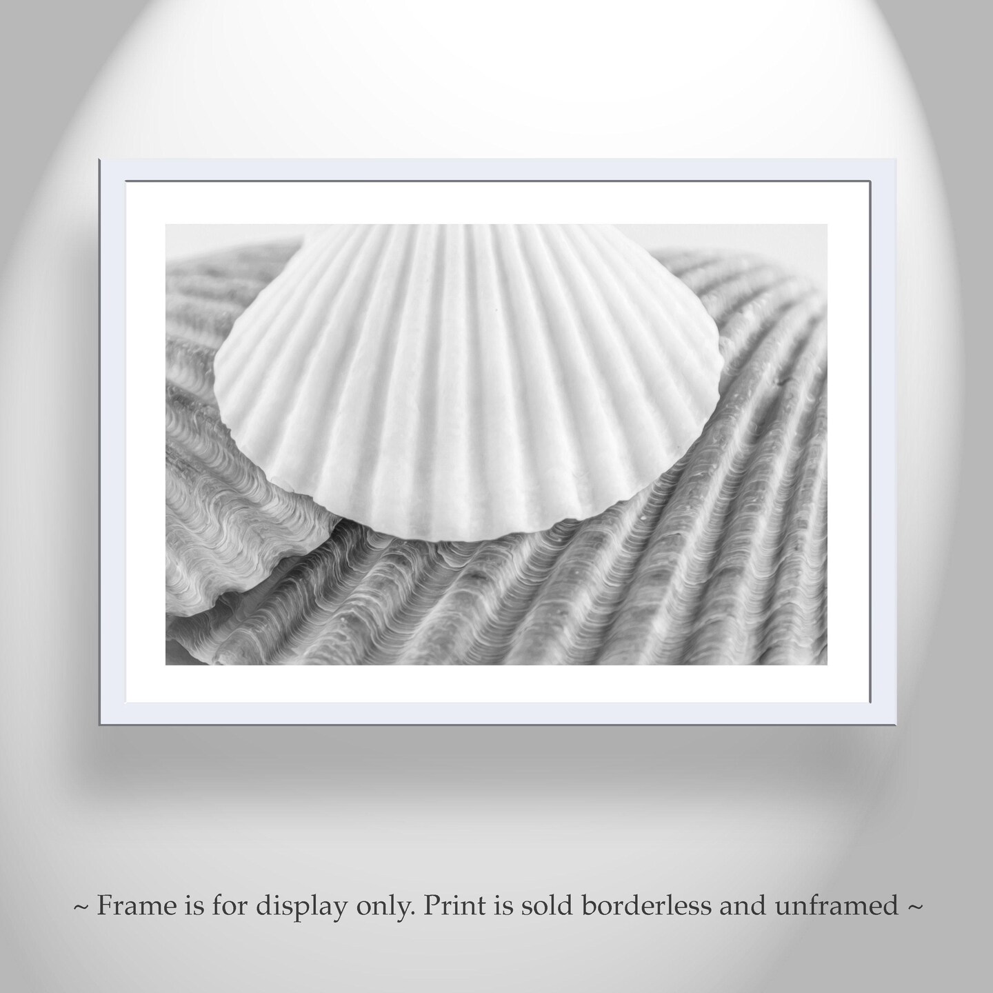 Seashells Wall Decor for Bathroom in Black and White