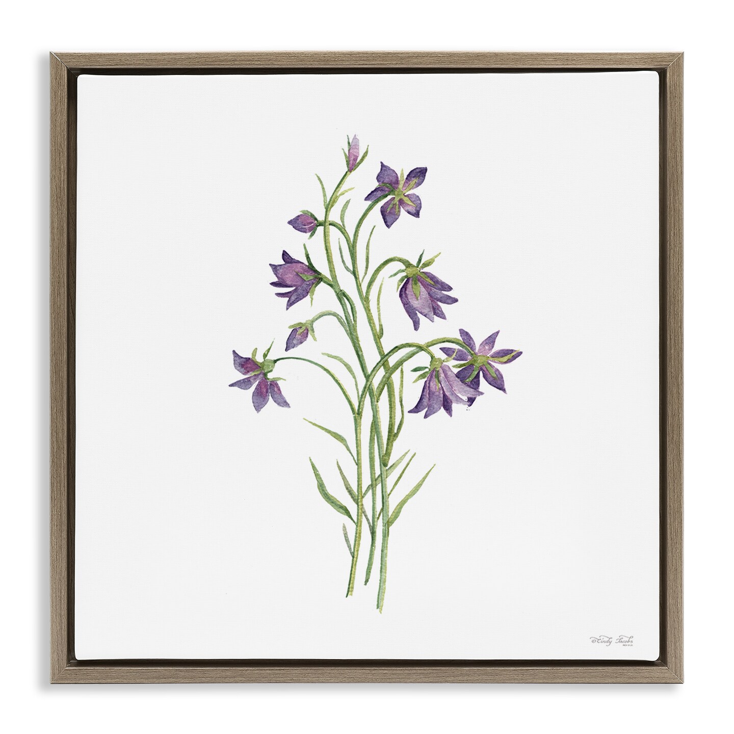 Stupell Industries Soft Bluebells Botanical Floating Frame, design by Cindy Jacobs