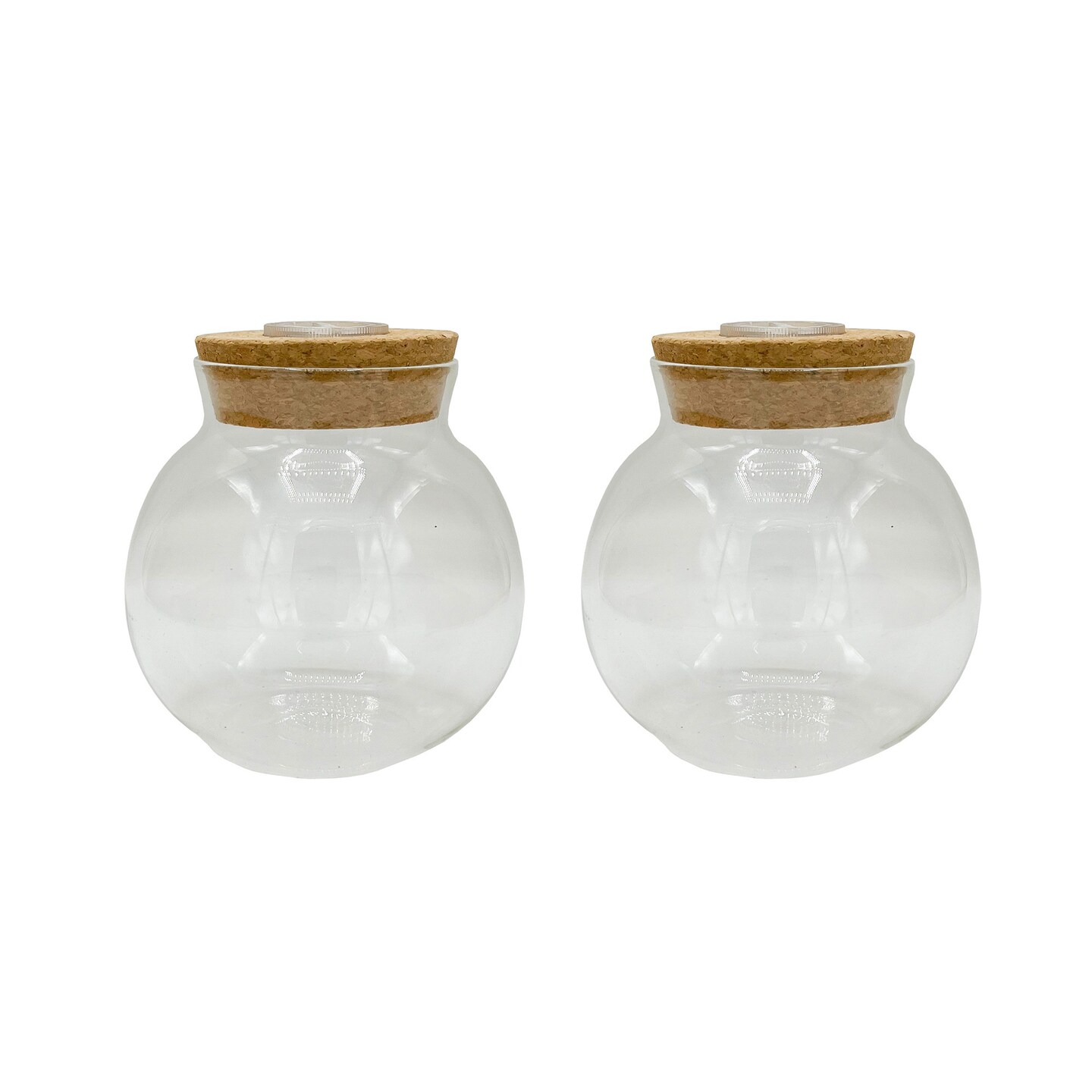 4&#x22; Glass Terrarium W/ Cork &#x26; LEDs, 2 Pack