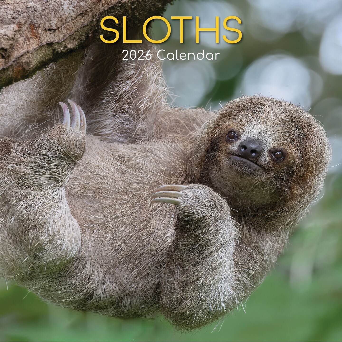 The Gifted Stationary 2026 Square Wall Calendar, Sloths, 16-Month ...