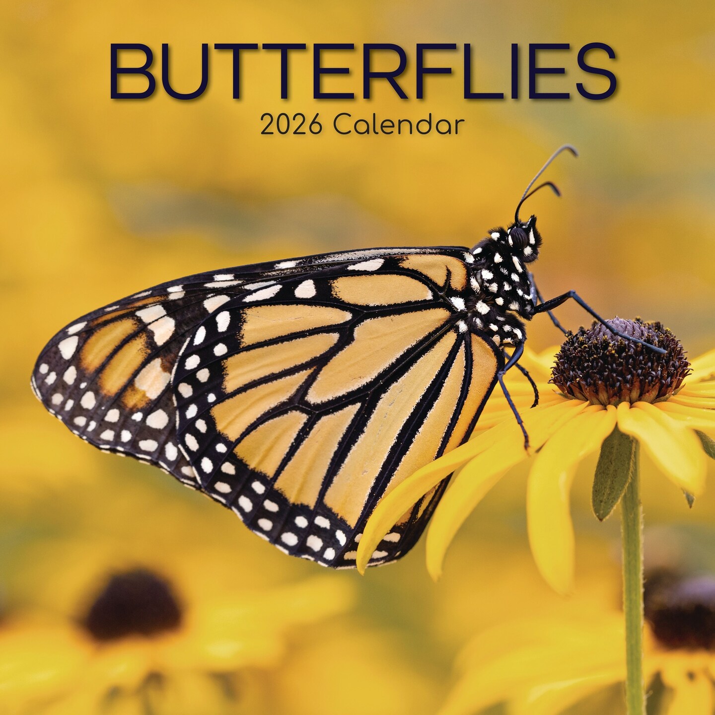 The Gifted Stationary 2026 Square Wall Calendar, Butterflies, 16-Month Animals Theme Hanging Calendar with 180 Reminder Stickers, Month Planner for Home, or Creative Spaces, 12x12 In