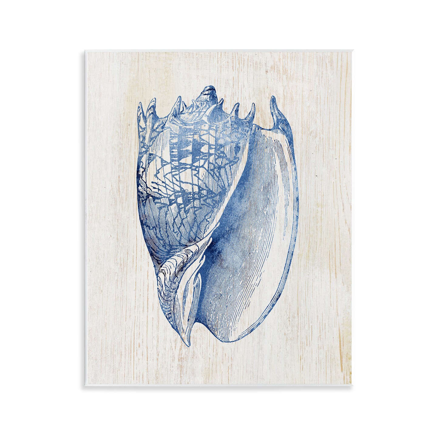 Stupell Industries Nautical Soft Blue Conch Wall Plaque Design by Susan Arnot