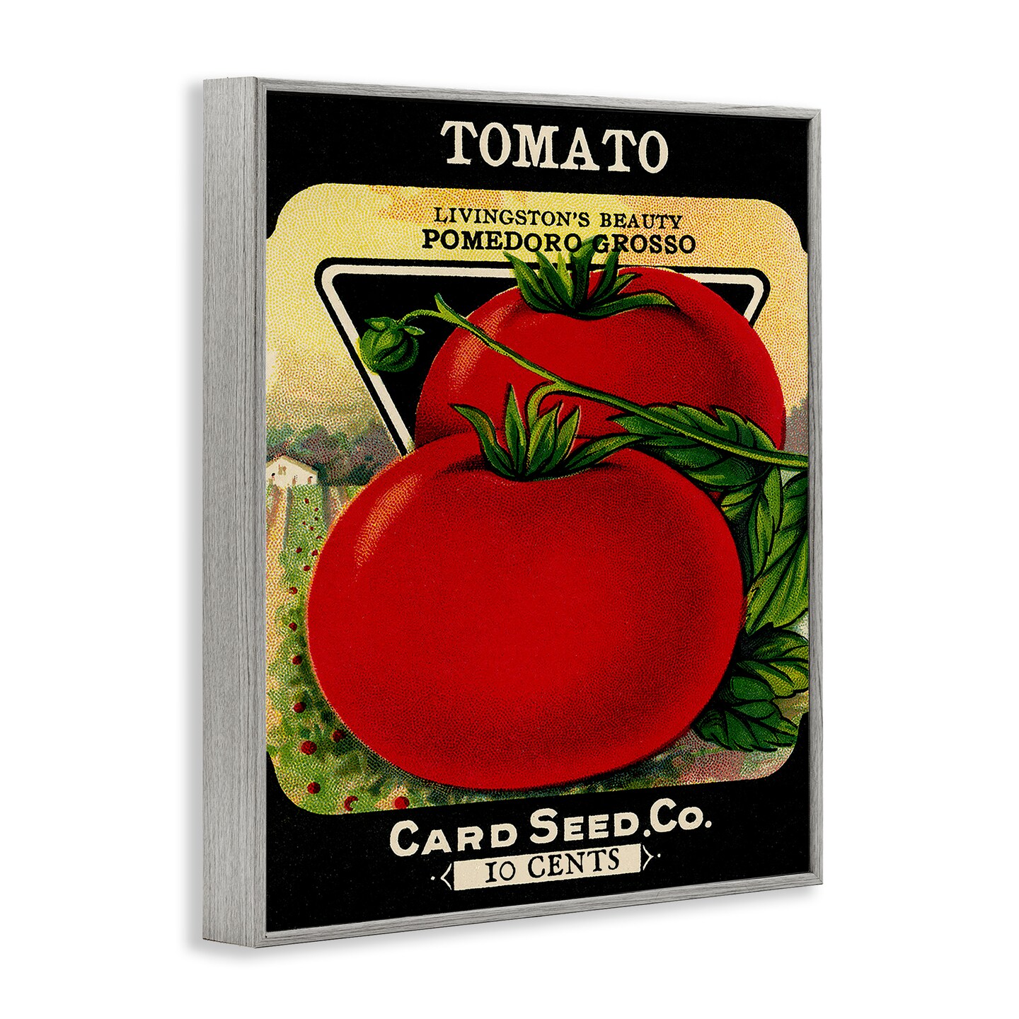 Stupell Industries Vintage Garden Tomato Framed Giclee Design by Lil&#x27; Rue