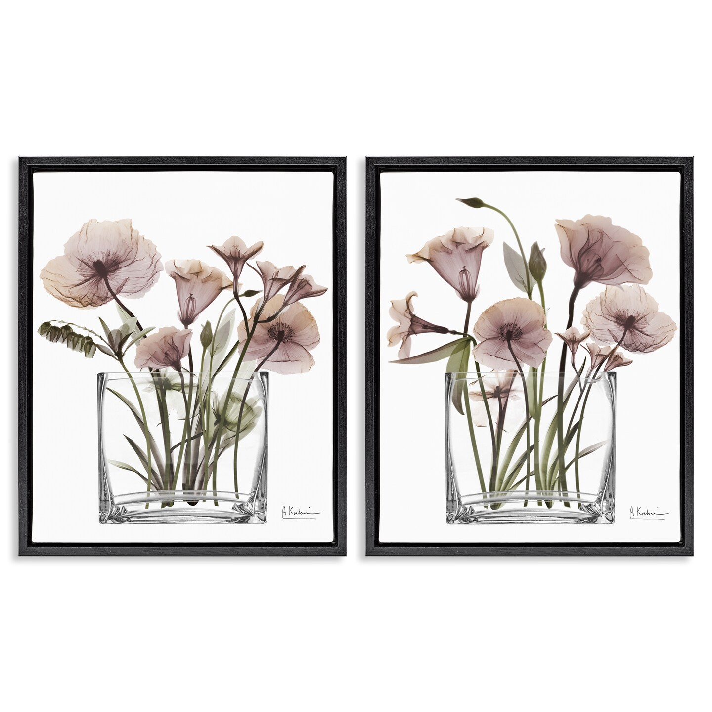 Stupell Industries Earthy Infatuation Bouquet 2pc Floating Frame Set Design by Albert Koetsier