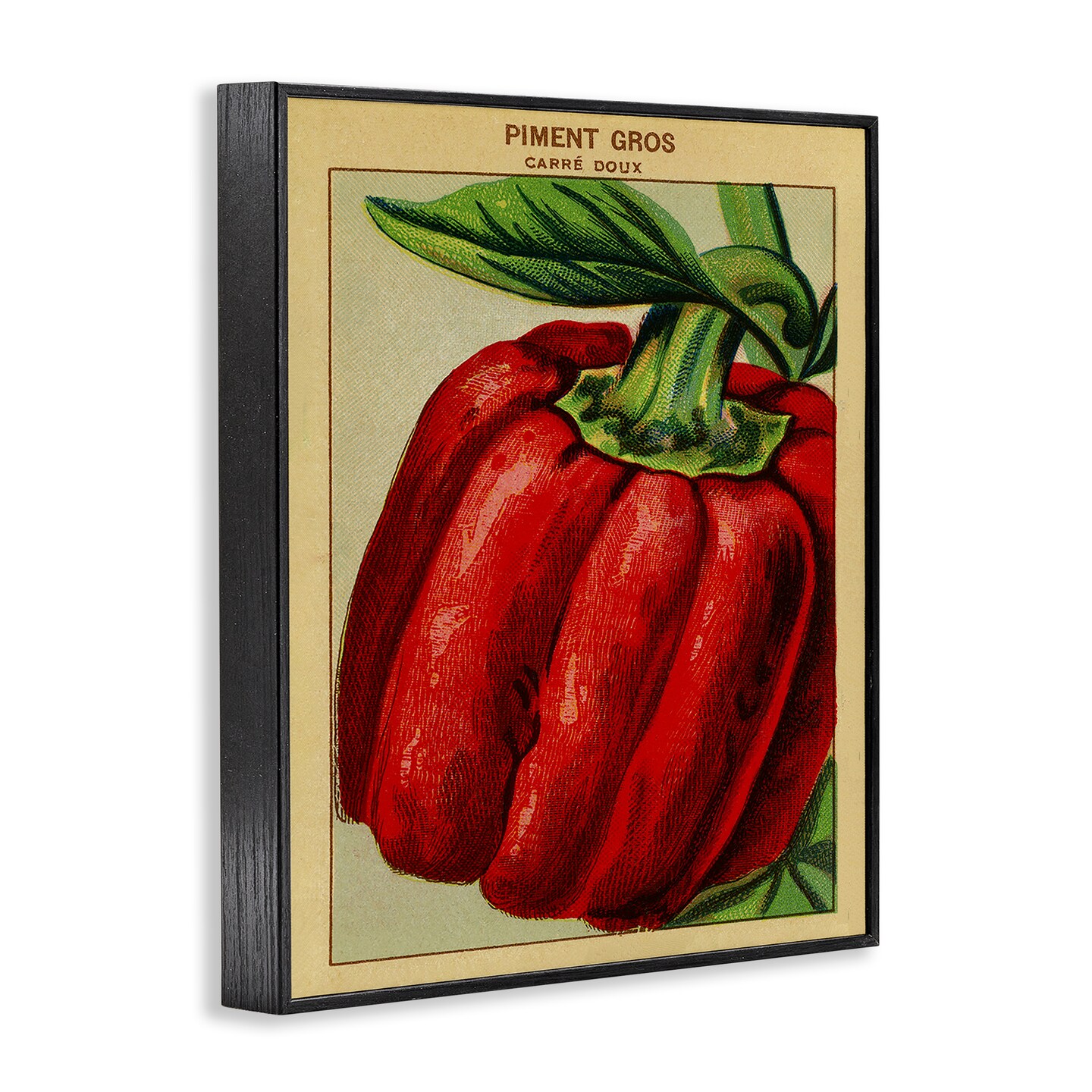 Stupell Industries Country Vintage Pepper Framed Giclee Design by Lil&#x27; Rue