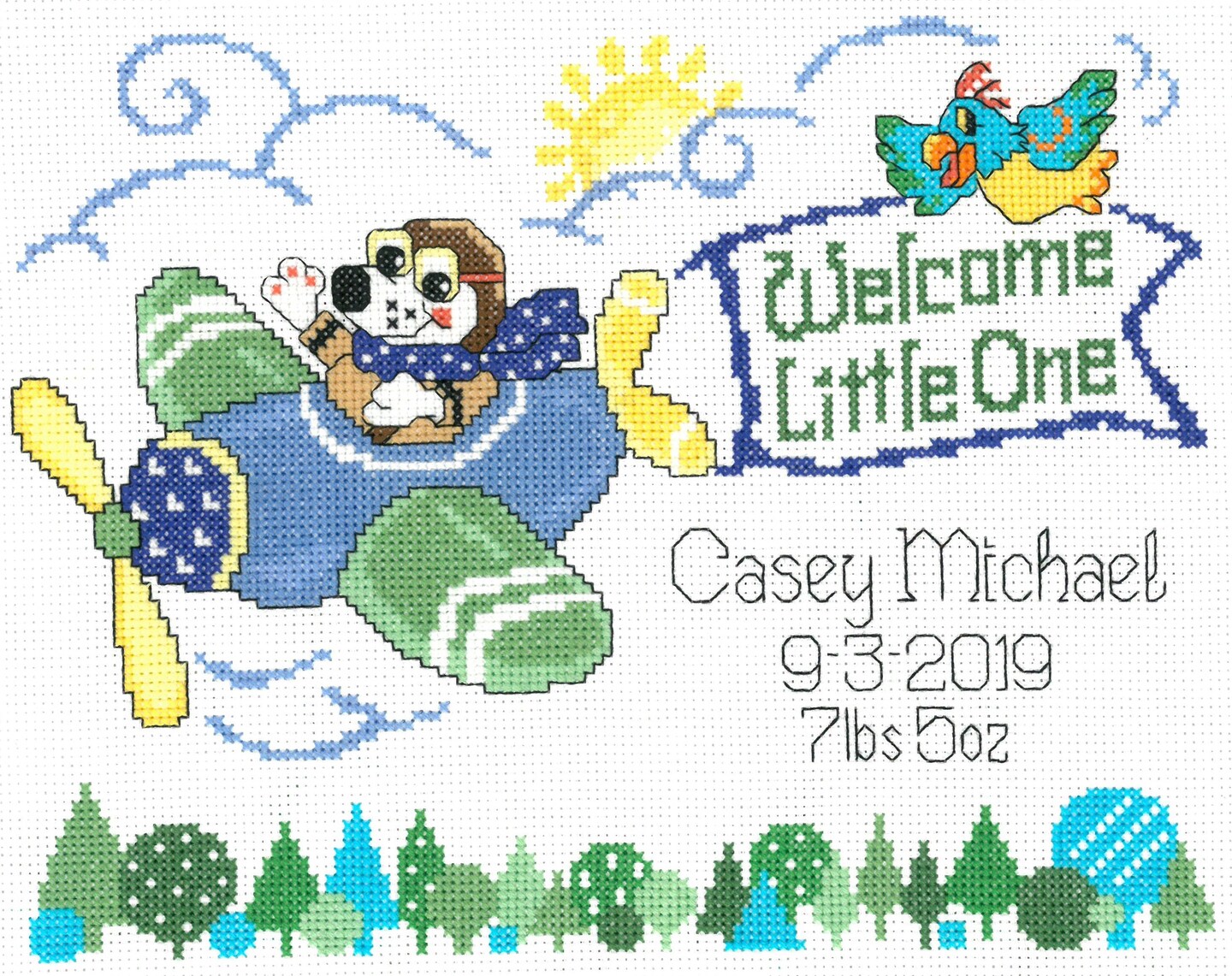 DIY Little Pilot Plane Baby Birth Record Counted Cross Stitch Kit 10x7