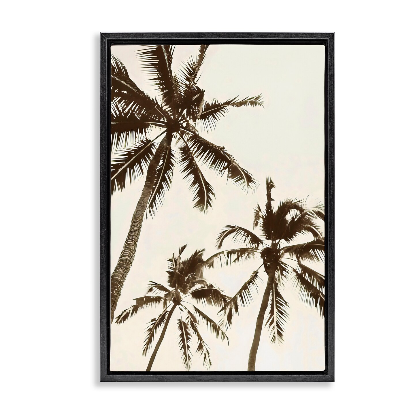 Stupell Industries Classic Palm Trees Silhouette Black Framed Floater Canvas Wall Art, design by LSR Design Studio