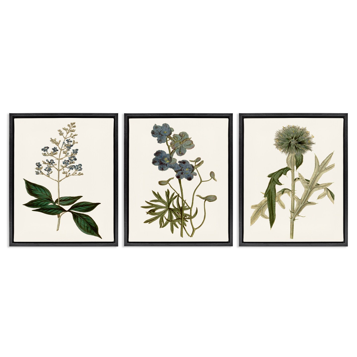 Stupell Industries Vintage Botanical Flowers on Beige Framed Floater Canvas Wall Art