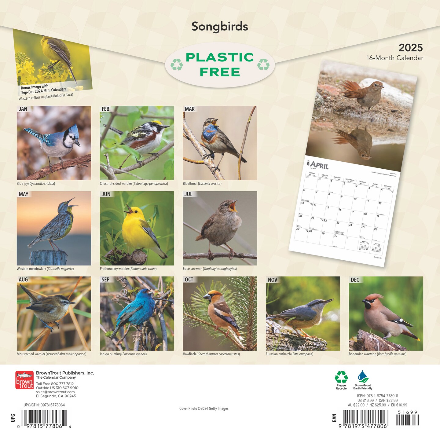Songbirds | 2025 12 x 24 Inch Monthly Square Wall Calendar | Foil Stamped Cover | Plastic-Free | BrownTrout | Wildlife Animals