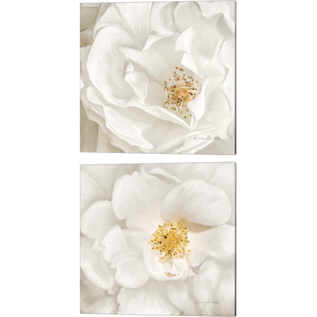Neutral Rose by Ramona Murdock 14" x 14" Canvas Wall Art (Set of 2)