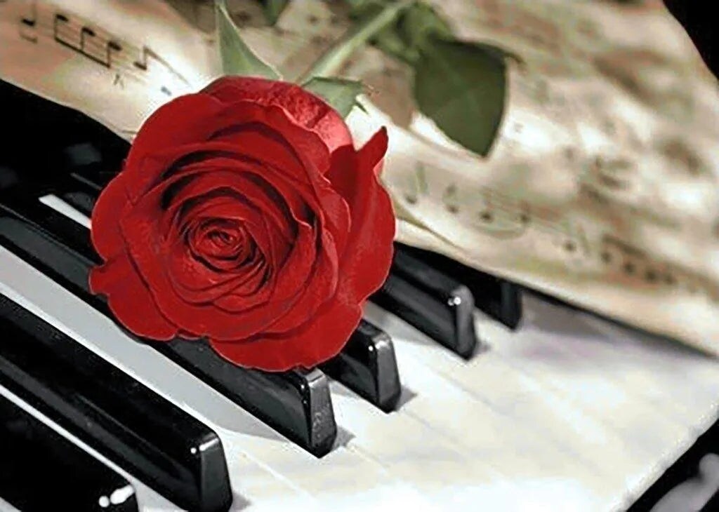 Rose Music WD053 14.9 x 10.6 inches Wizardi Diamond Painting Kit
