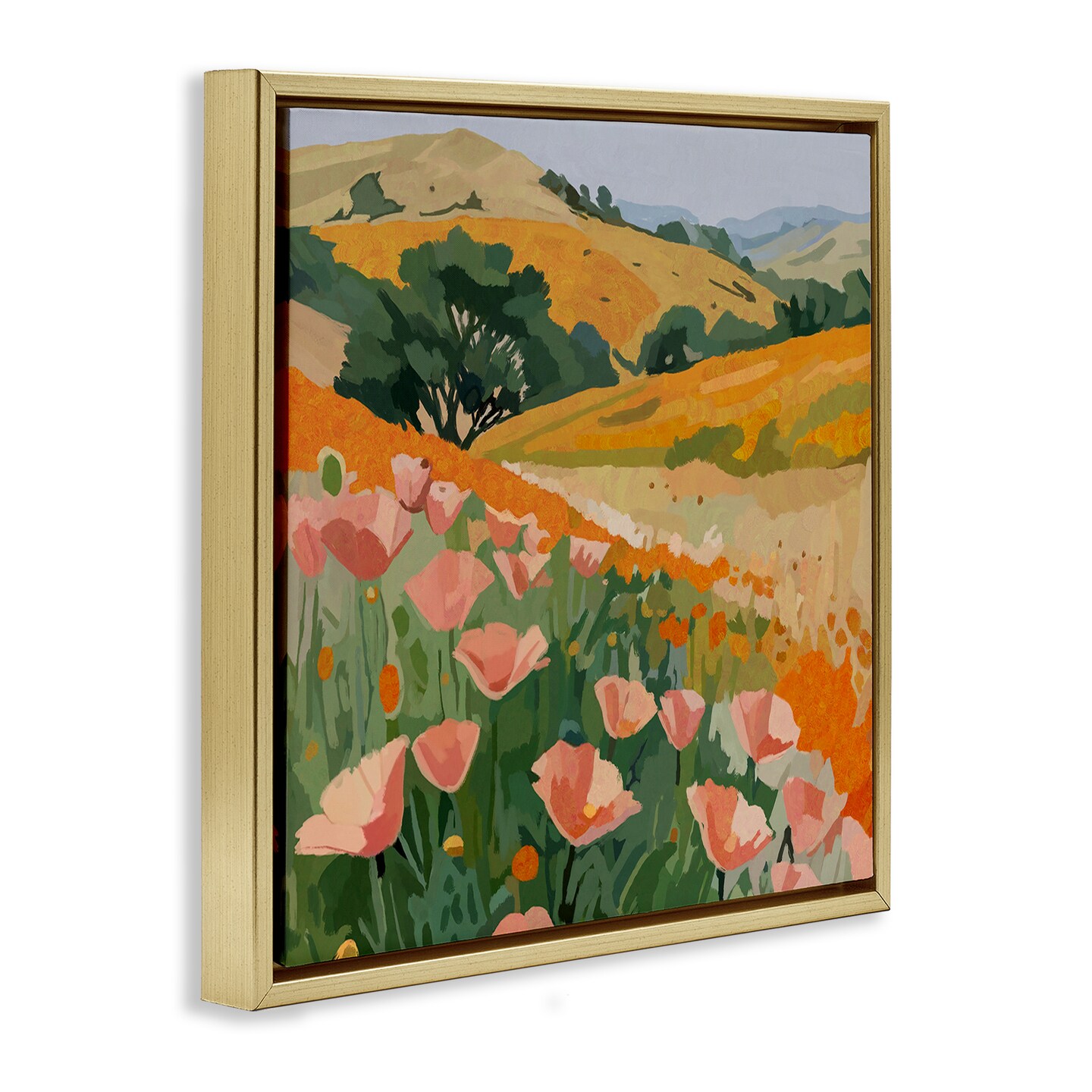Stupell Industries California Poppies Meadow Floating Frame By Amelia Noyes