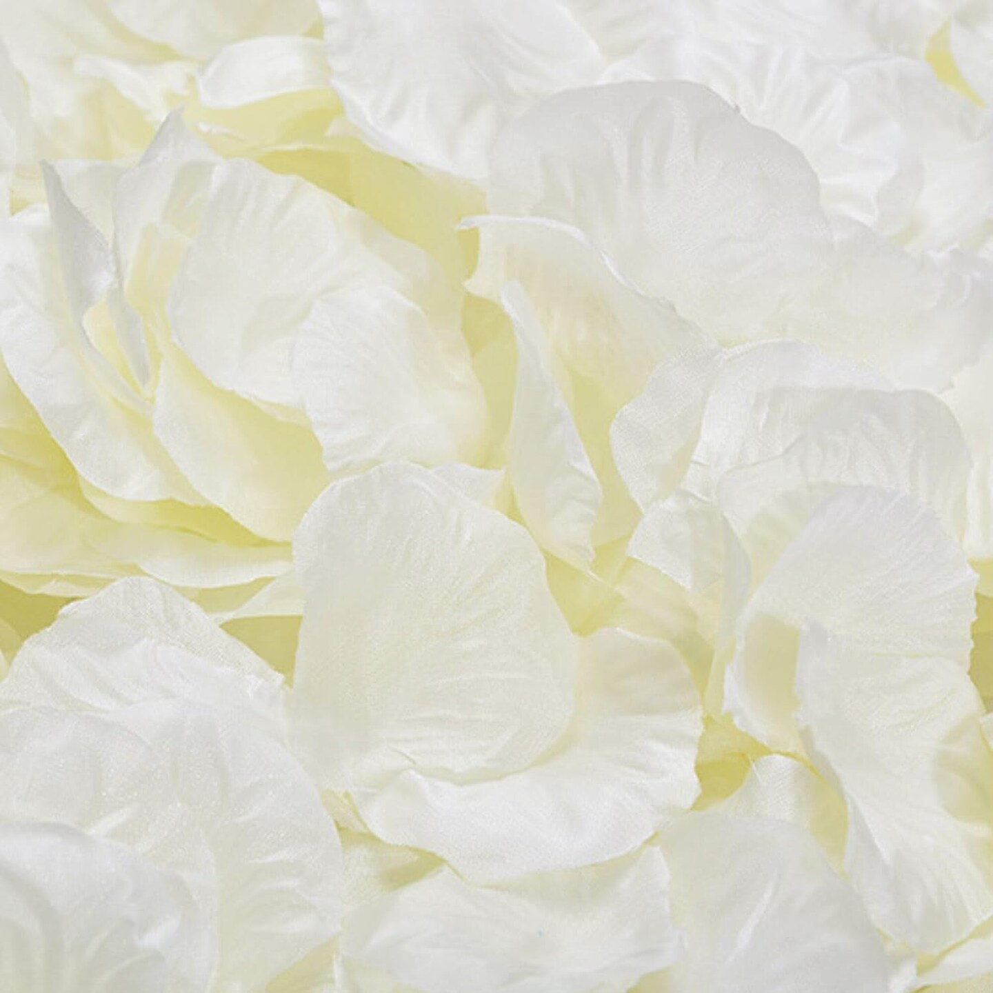 Ivory Rose Petals 3000pcs Reusable Silk Petals Flower Petals