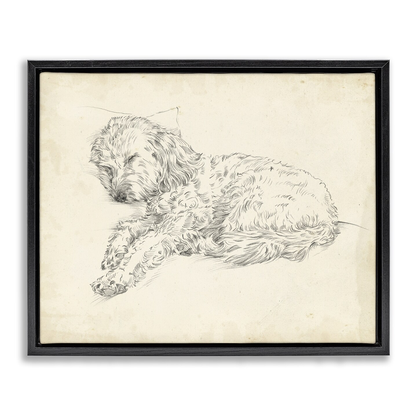 Stupell Industries Antique Sleeping Dog Sketch Floating Frame By Ethan Harper