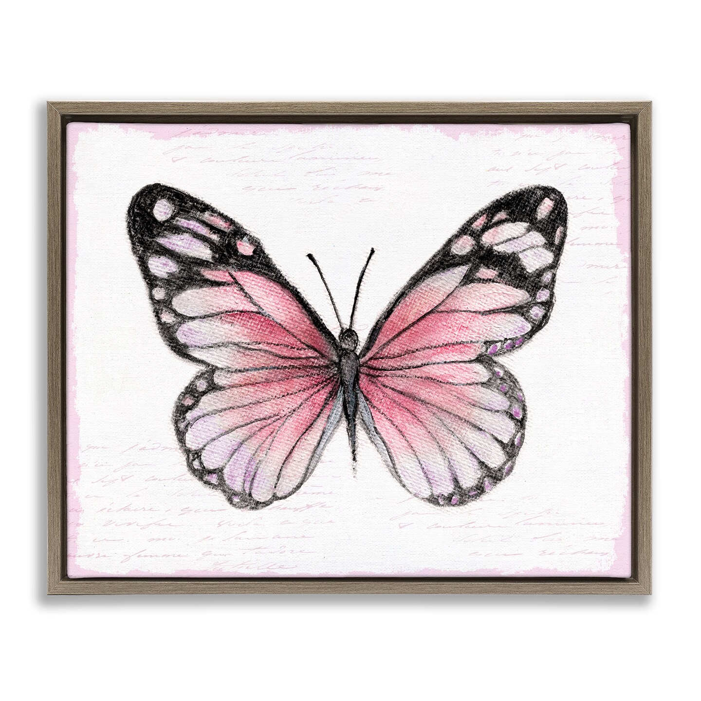 Stupell Industries Pink Monarch Butterfly Floating Frame By Janet Tava