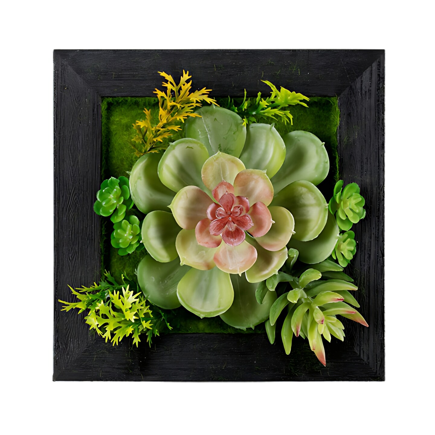 Melrose Succulent Wall Box Hanging Decorations - 6" - Set of 6