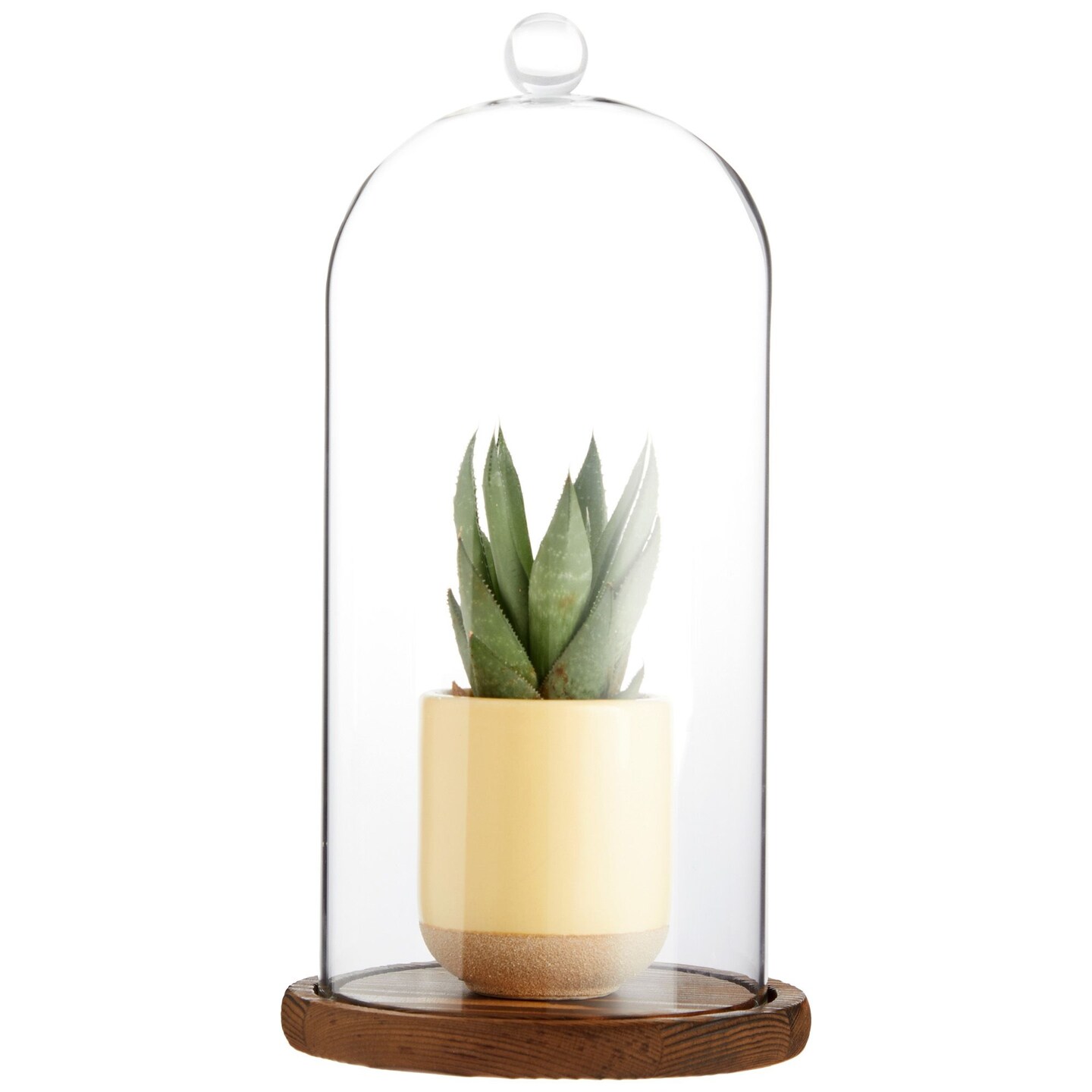 Glass Cloche Dome Bell Jar Display Case with Wooden Base for Plants, Collectibles (5.1x10 In)