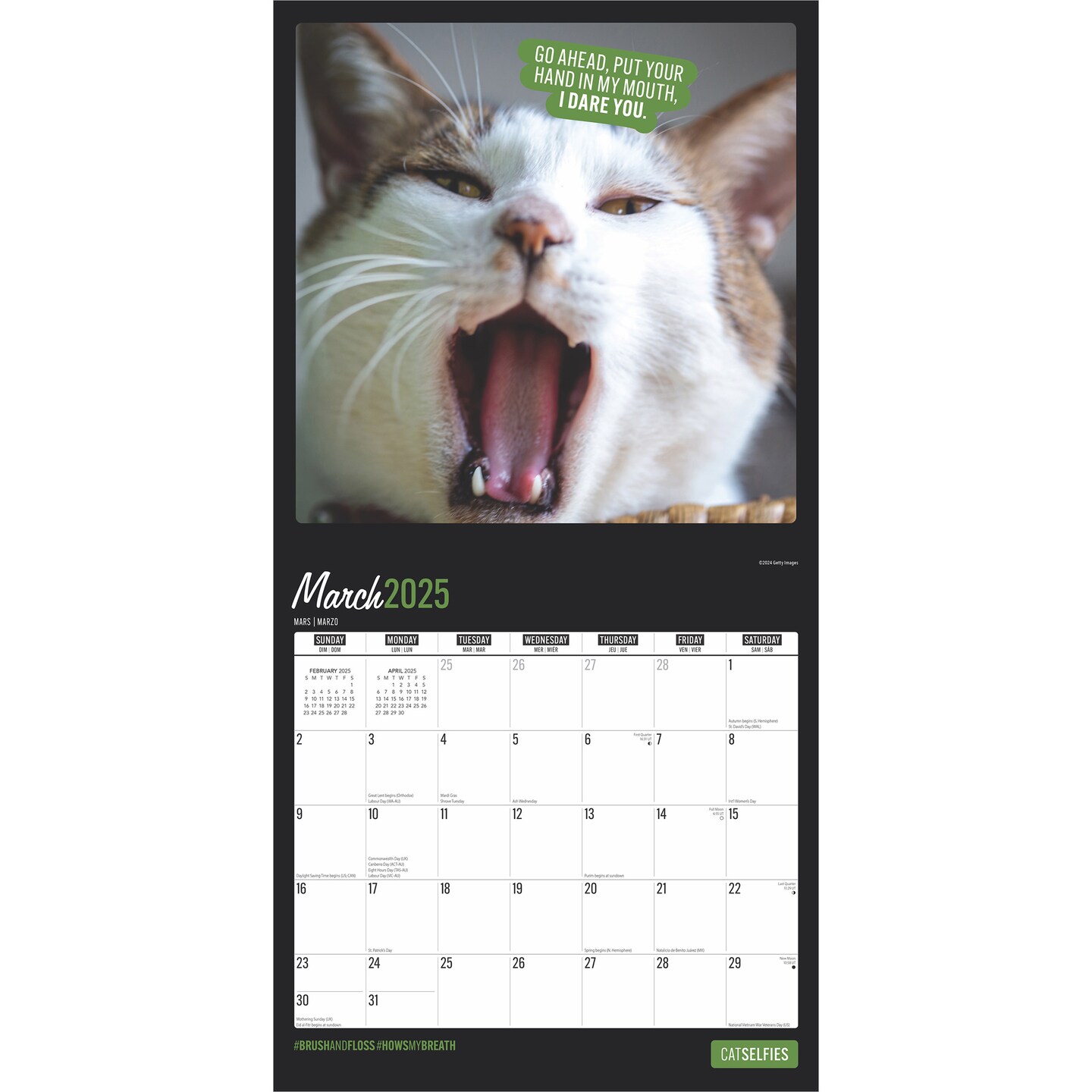 Cat Selfies | 2025 12 x 24 Inch Monthly Square Wall Calendar | Plastic-Free | BrownTrout | Pet Humor Kitten Feline