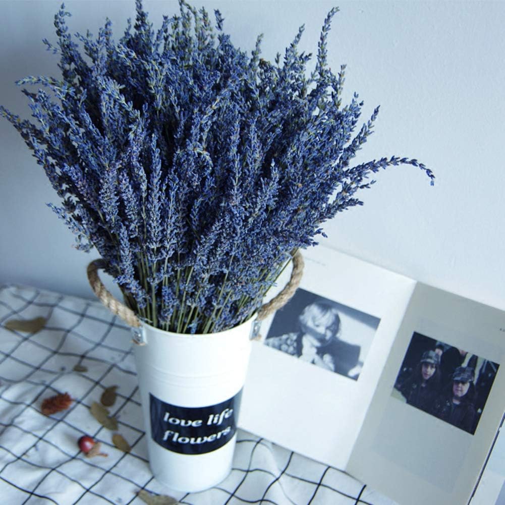 Natural Lavender Bundles, Freshly Harvested 400+ Stems Dried Lavender Bunch 16&#x22; - 18&#x22; Long, Decorative Flowers Bouquet for Home Decor, Crafts, Gift, Wedding or Any Occasion