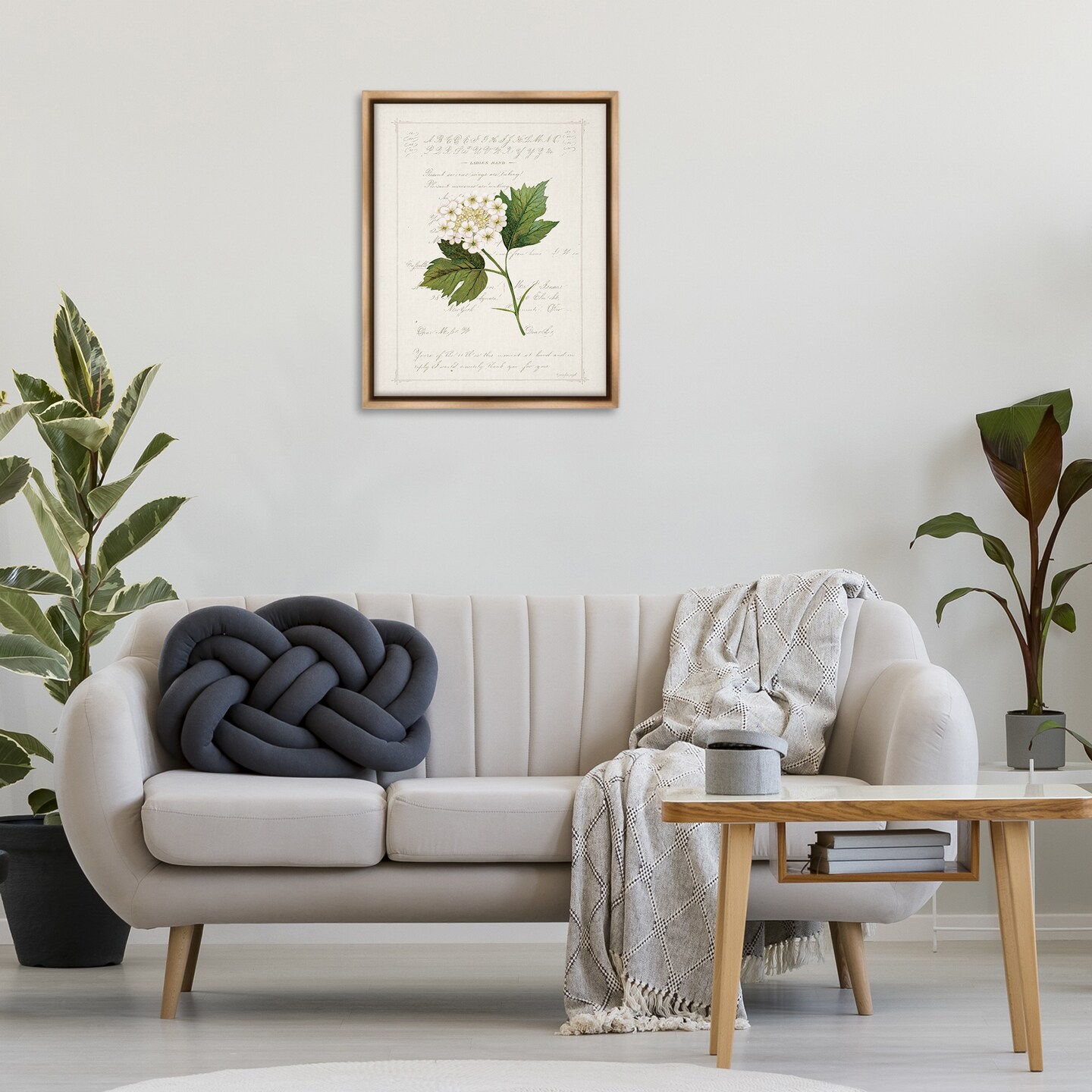Stupell Industries Vintage Florals And Script Floating Frame By Jennifer Pugh