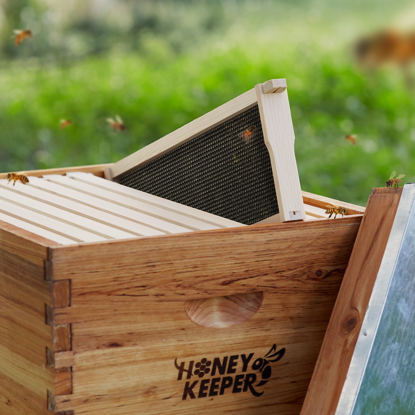 Honey Keeper 10-Pack Unassembled Beehive Frames with Natural Beeswax Foundations for Beekeeping, Medium Super - 6-1/4 inch
