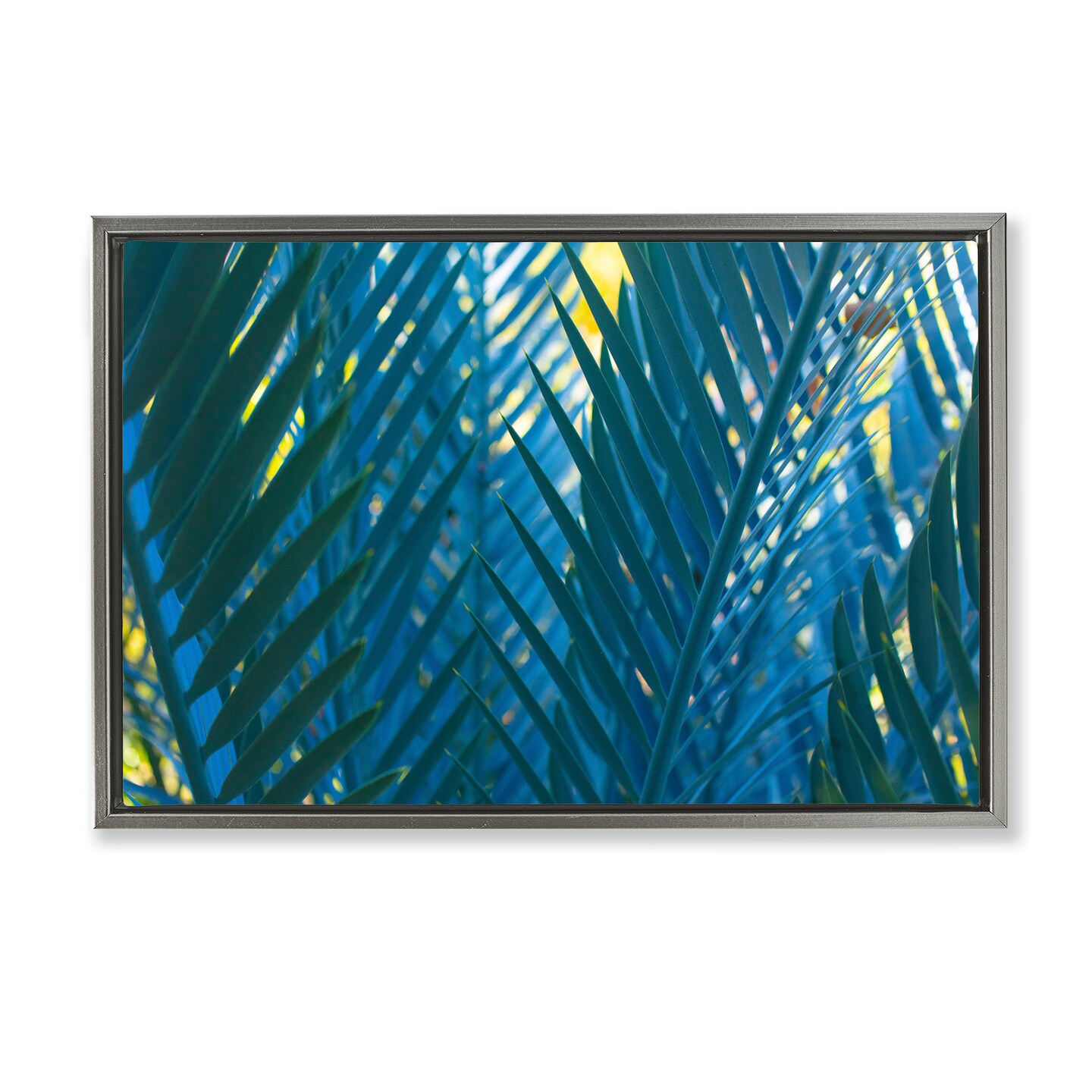 Stupell Industries Blue Palm Fronds Framed Floater Canvas Wall Art Design by Carol La Barge
