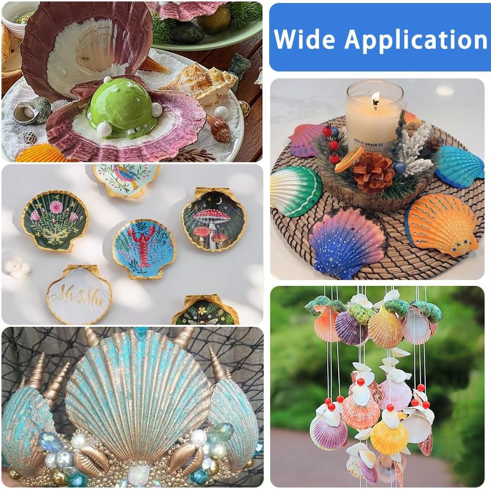 18PCS Large Natural Scallop Shells,4&#x27;&#x27;-5&#x27;&#x27; White Seashells Bulk for Crafts DIY Painting Baking and Ocean Summer