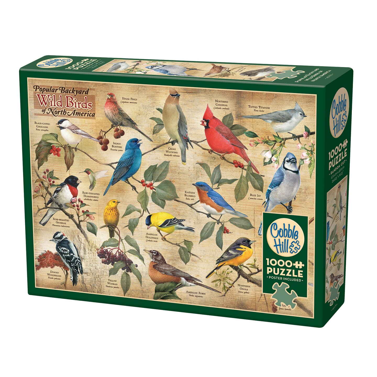 Cobble Hill 1000 Piece Puzzle: Popular Backyard Wild Birds of North America - Reference Poster Included, High Quality