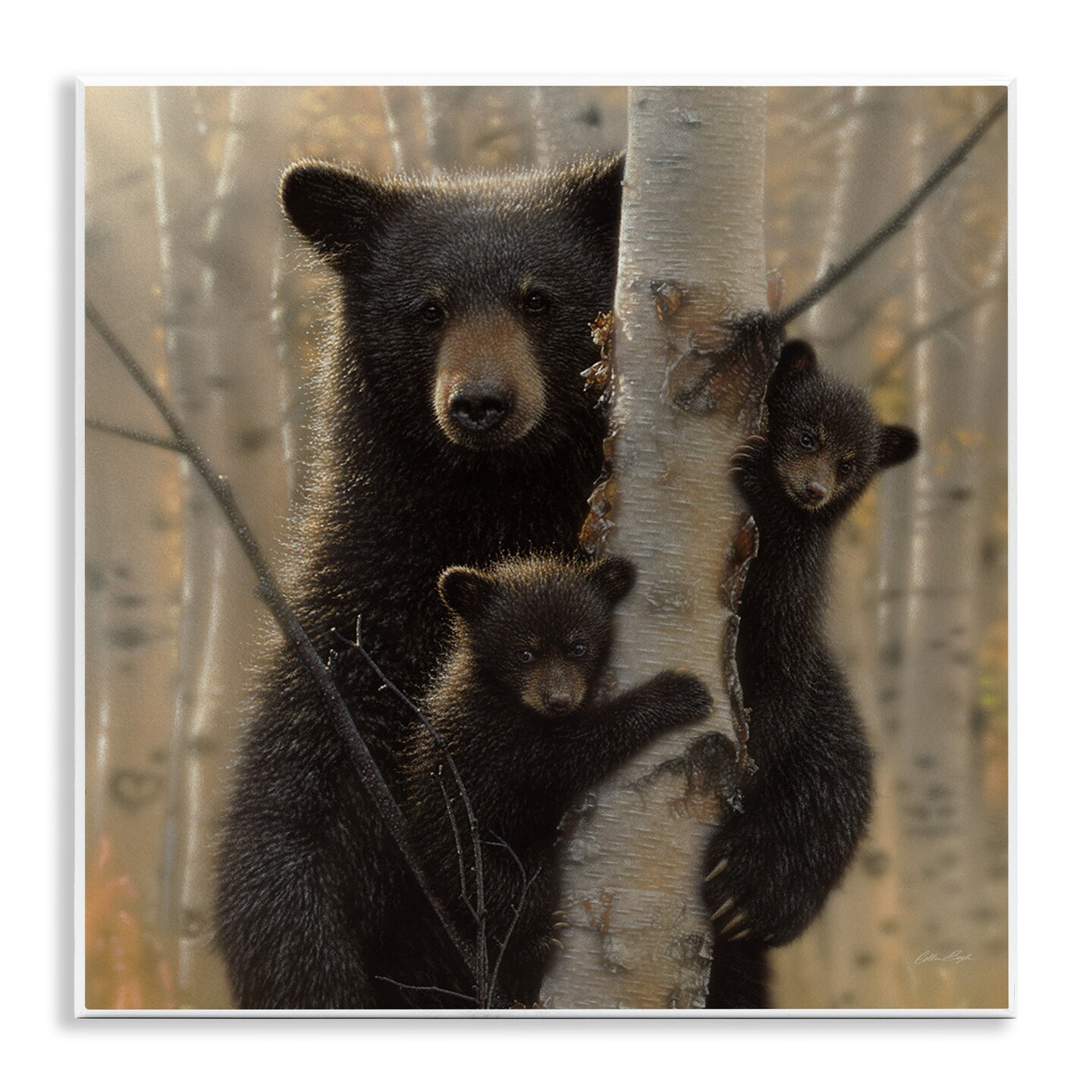 Stupell Industries Forest Black Bear and Cubs Wall Plaque Art