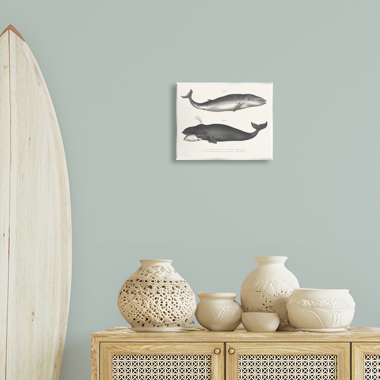 Stupell Industries Vintage Whale Study Diagrams Wall Plaque Design by Phillipa Katz