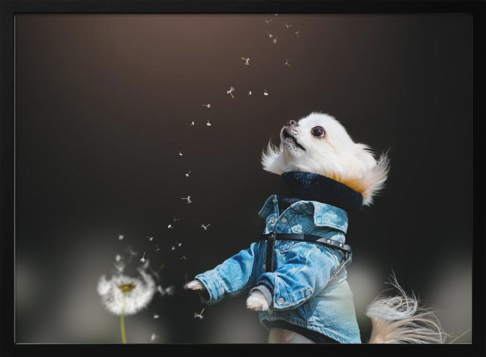 Fluffy - Lienjp 24x36 Black Framed Art | Home or Office Art