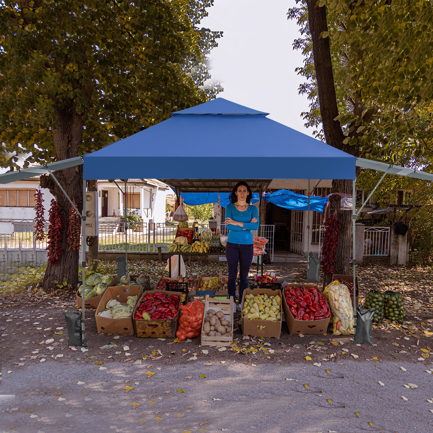 Costway 10&#x27;x17.6&#x27;Outdoor Instant Pop-up Canopy Tent Dual Half Awnings Adjust Patio Blue/White/Gray/Black/Pink