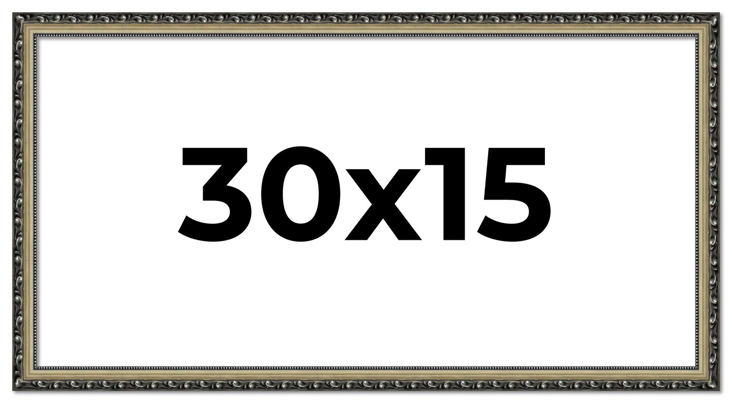 30x15 Solid Wood Antique Picture Frame with UV-Resistant Acrylic & Acid-Free Backing, Available in 4 Finishes: Bronze, Gold, Silver, and Gold with Black