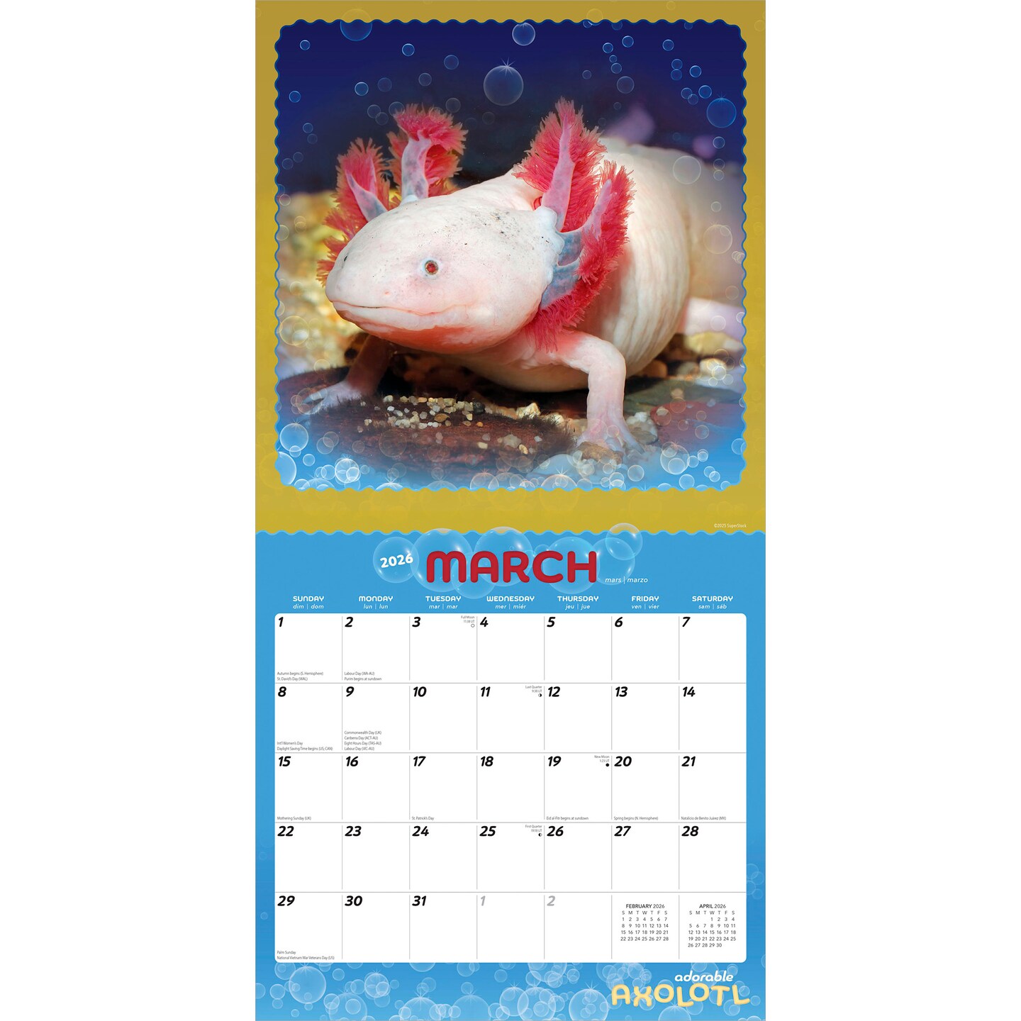 Adorable Axolotl | 2026 12 x 24 Inch (Hanging) Monthly Square Wall Calendar | Plastic-Free