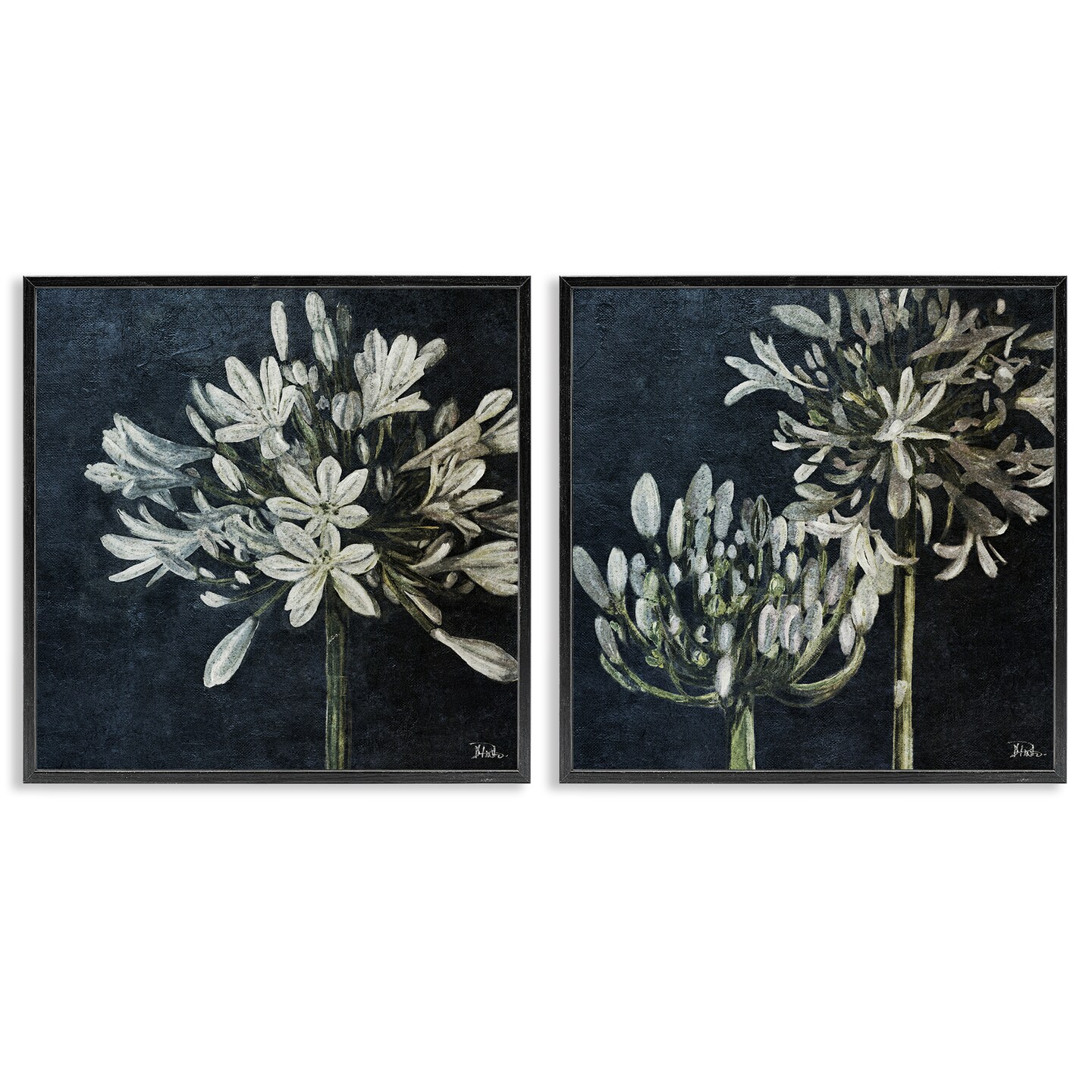 Stupell Industries Blossoming Flower Stem 2 pc Framed Giclee Wall Art Set Design by Patricia Pinto