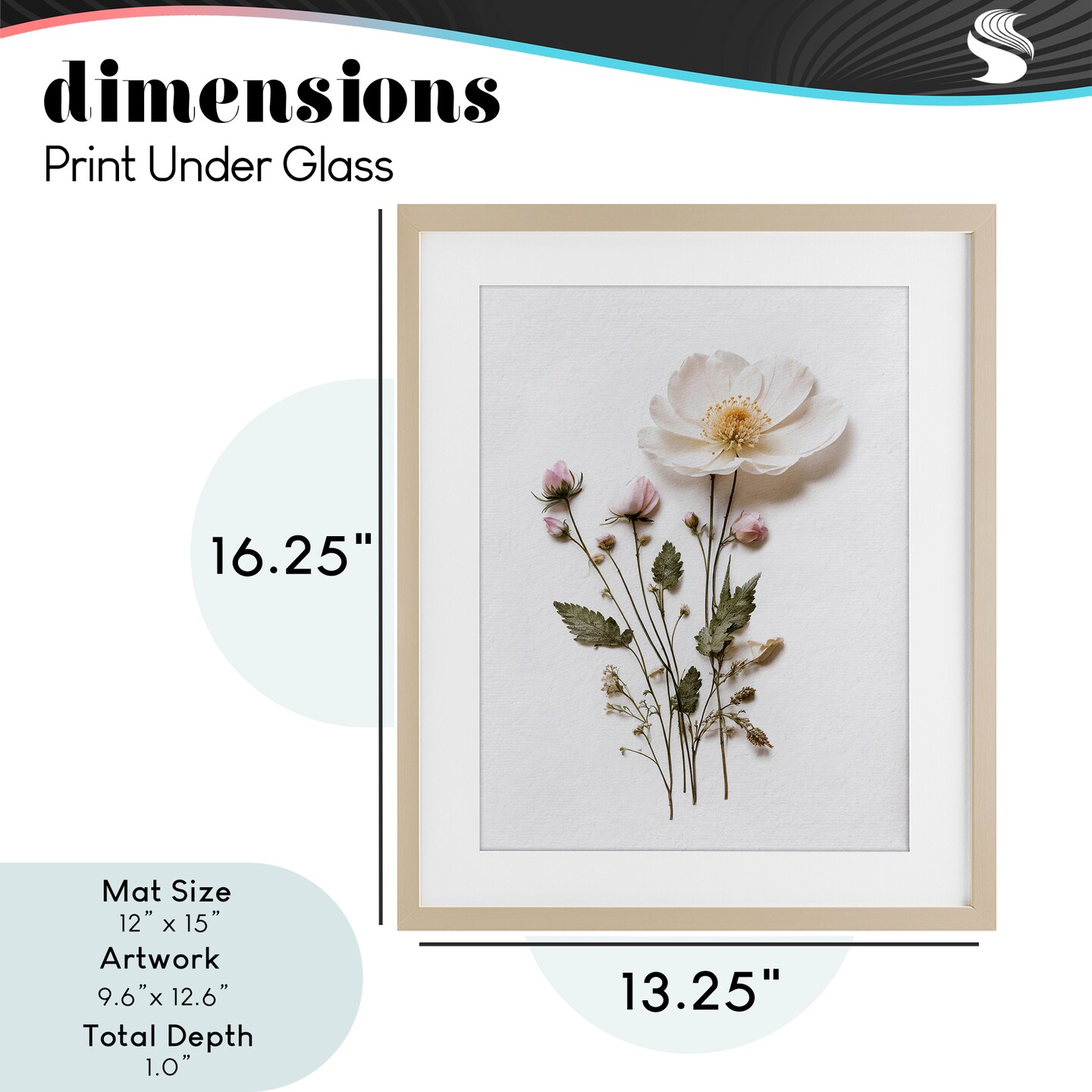 Stupell Industries Simple Pressed Flowers Framed Print Under Glass, design by Lettered and Lined