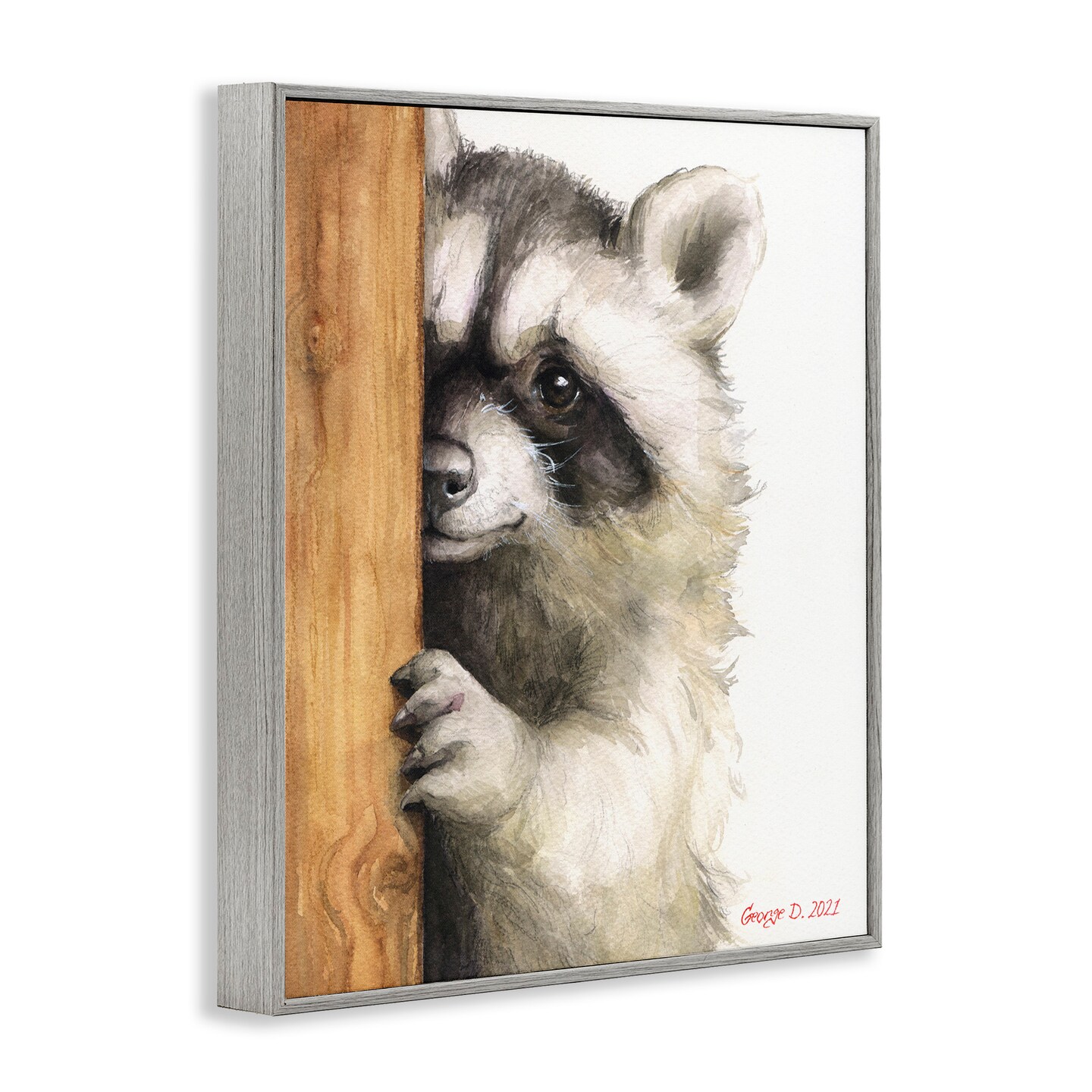 Stupell Industries Peering Raccoon Watercolor Framed Giclee Art