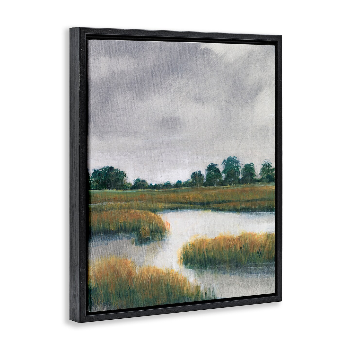 Stupell Industries Cloudy Rural Marsh Landscape Framed Floater Canvas Wall Art