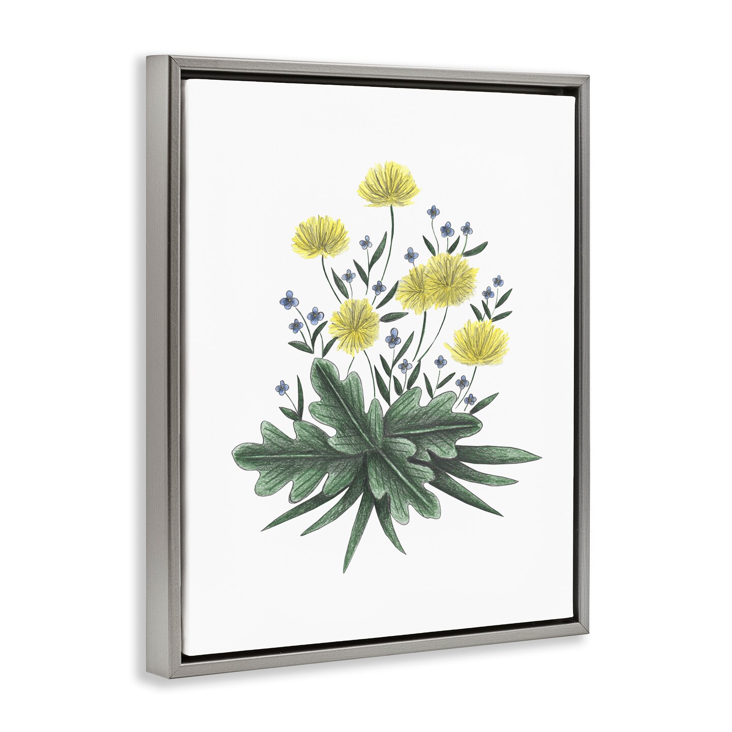 Stupell Industries Dandelion Flower Illustration Floating Frame, design by Cecilia Battaini