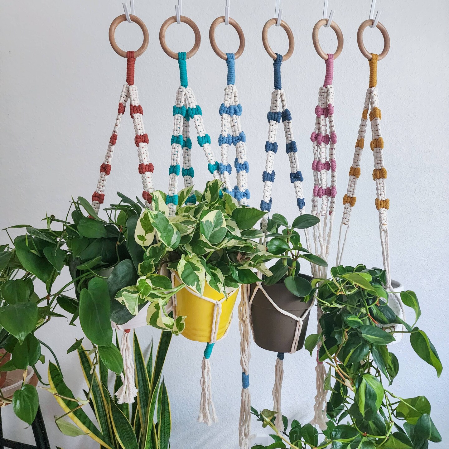 Handwoven Trendy Bow Plant Hanger | Macrame Boho Home Decor ...