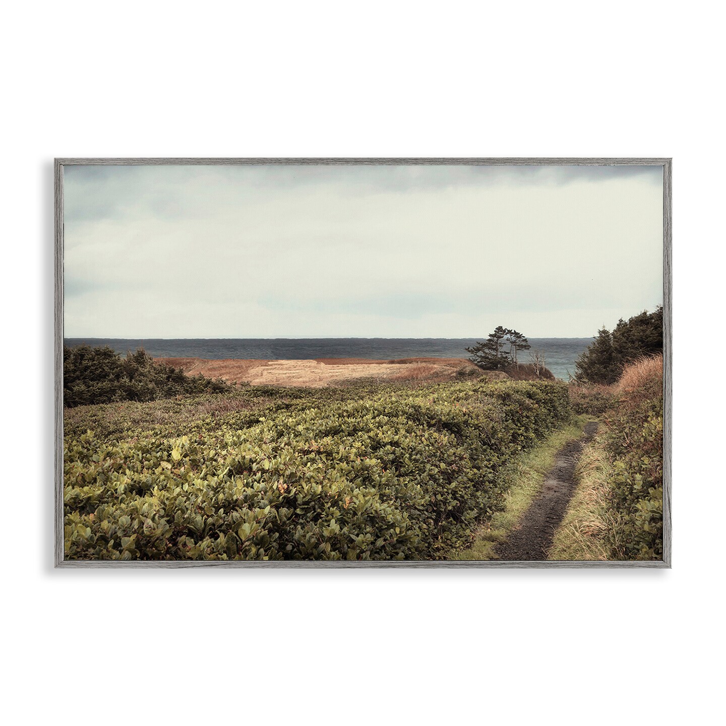 Stupell Industries Serene Coastal Pathway Framed Giclee Wall Art Design by Andy Amos