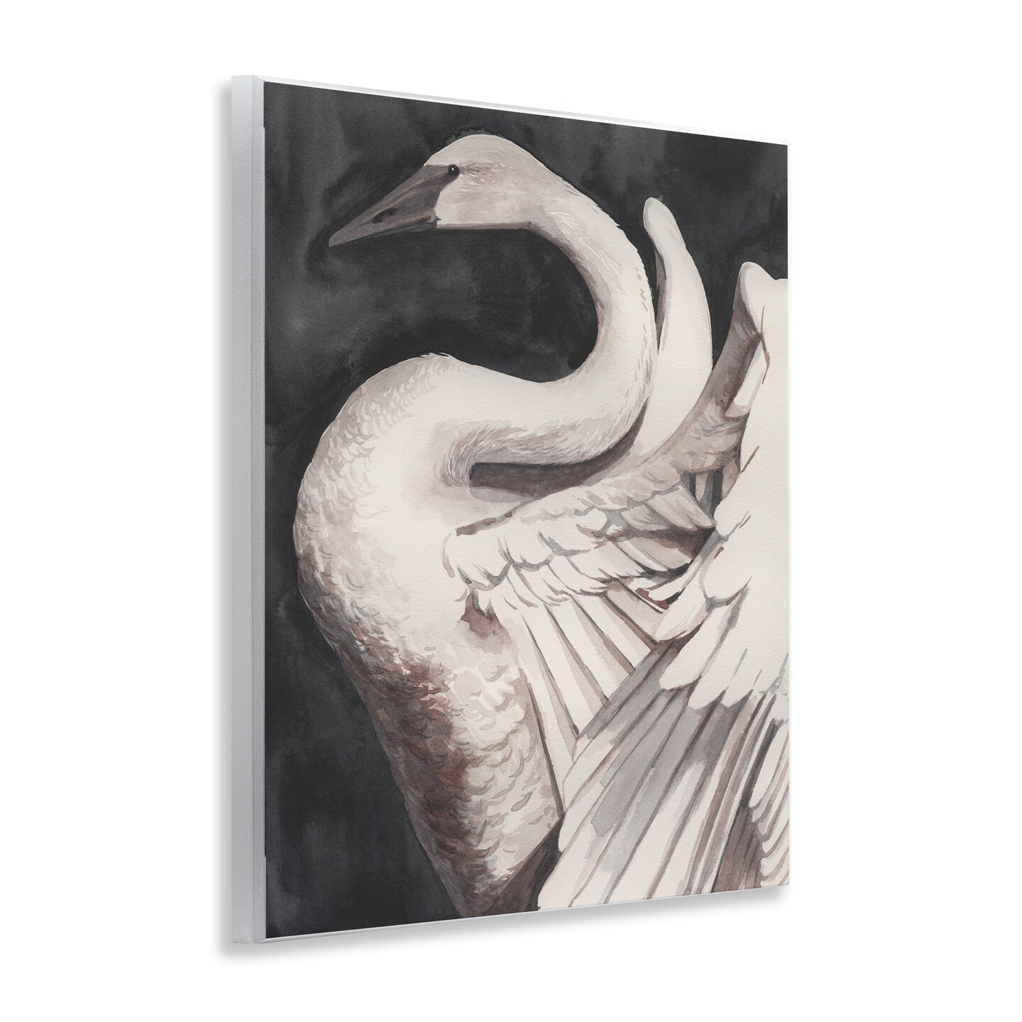 Stupell Industries Swan Spreading Wings Wall Plaque Art Design by Grace Popp