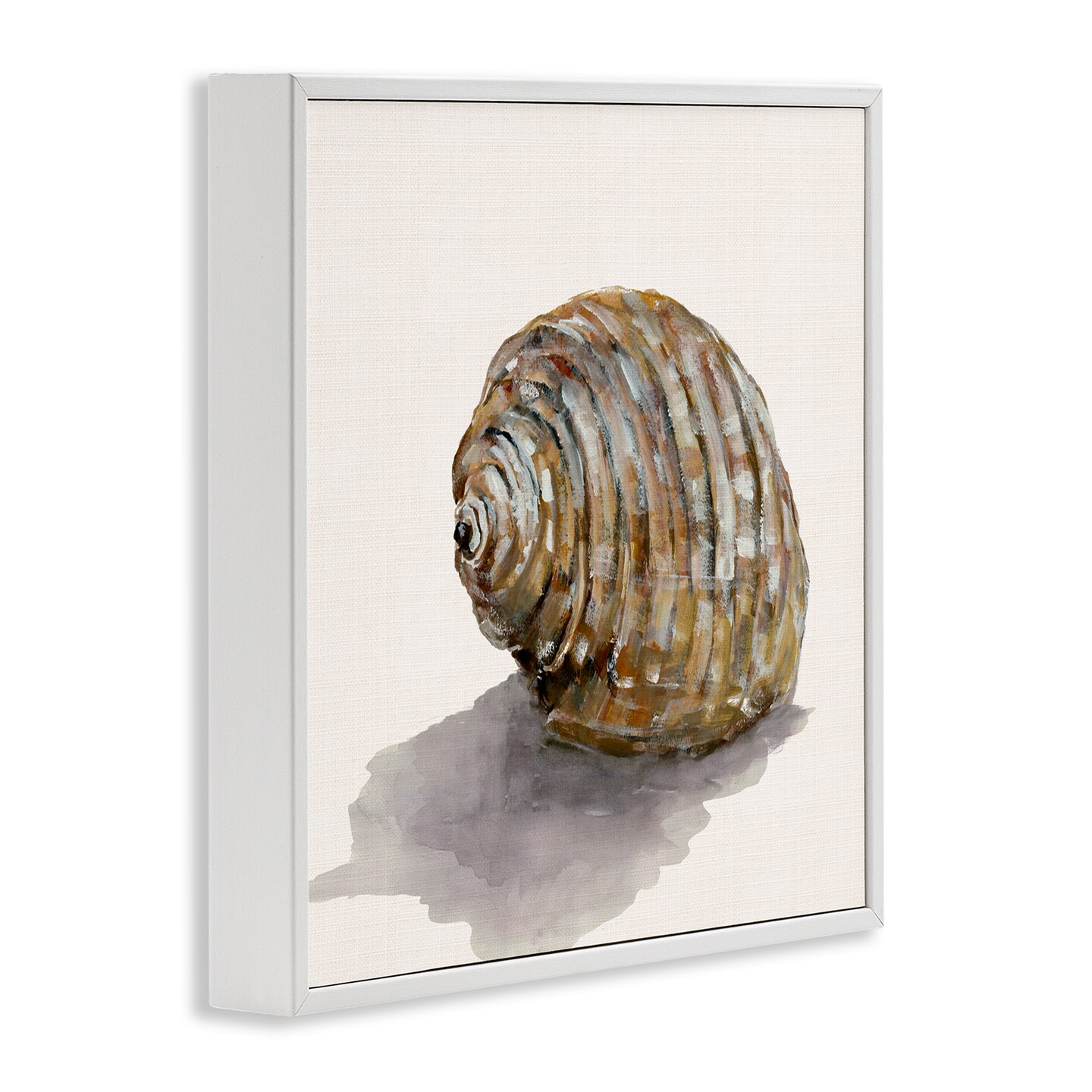 Stupell Industries Curved Seashell on Beige Framed Giclee Wall Art Design by Jacob Q