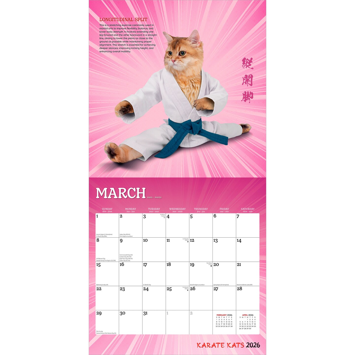 Karate Cats OFFICIAL | 2026 12 x 24 Inch (Hanging) Monthly Square Wall Calendar | Plastic-Free | BrownTrout | Pets Funny Animals Feline