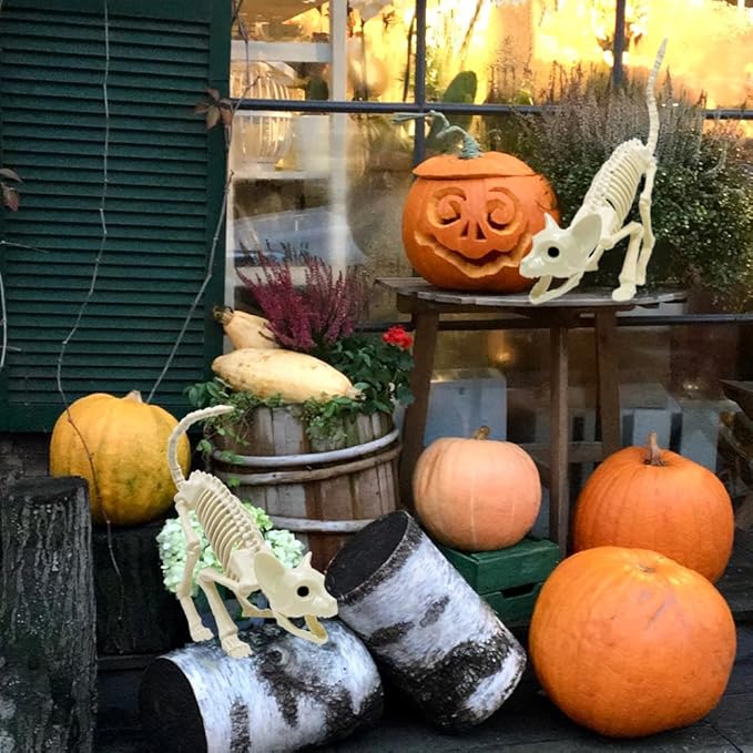 Cat Halloween Skeleton Decoration, Animal Skeleton with Posable Joints for Graveyard Scene and Decoration, Skeleton Bones Prop Themed Parties, Haunted Houses